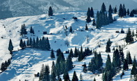 TURISM IN BUCOVINA - VA ASTEPTAM CU DRAG LA NOI !!!