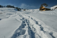 TURISM IN BUCOVINA - VA ASTEPTAM CU DRAG LA NOI !!!