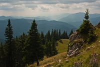 TURISM IN BUCOVINA - VA ASTEPTAM CU DRAG LA NOI !!!