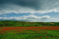 Turism in Bucovina