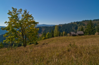 Turism in Bucovina