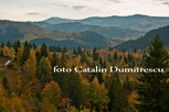 Toamna in Bucovina